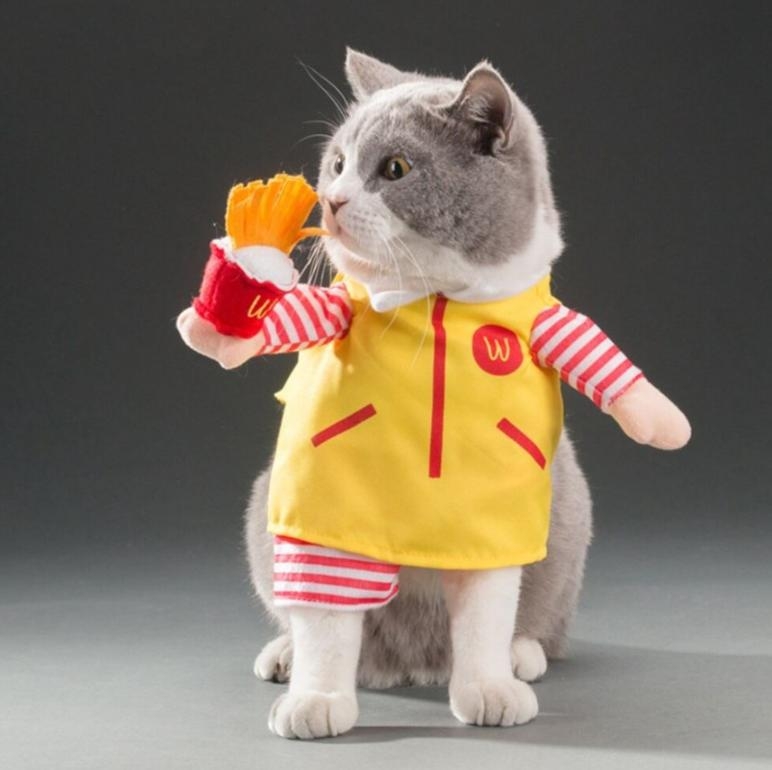cat dressed as a McDonald's worker