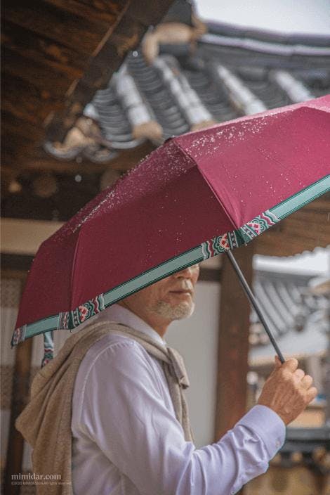 단청(Dancheong) umbrella