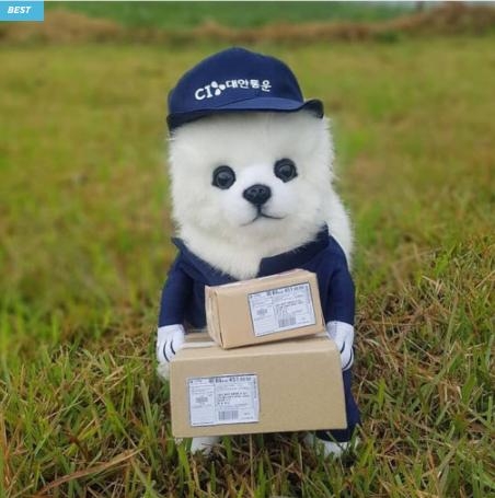 white dog dressed as delivery man