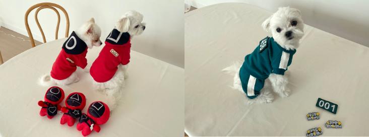 white dog wearing squid game costume